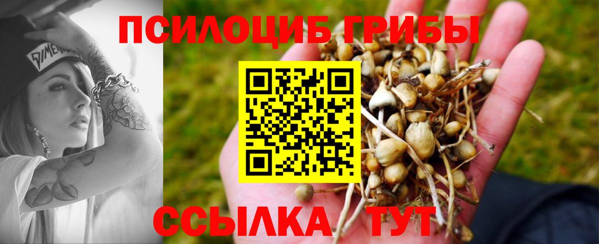 Подольск  Галлюциногенные грибы мухоморы  где можно купить наркотик  Вход с VPN 